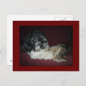 Mijn beste vriend briefkaart (Voorkant / Achterkant)