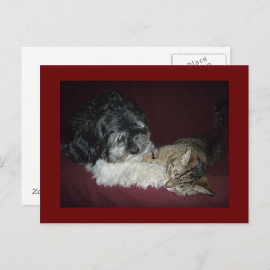 Mijn beste vriend briefkaart (Voorkant / Achterkant)