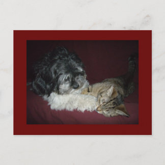 Mijn beste vriend briefkaart