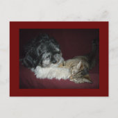 Mijn beste vriend briefkaart (Voorkant)