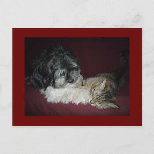 Mijn beste vriend briefkaart (Voorkant)