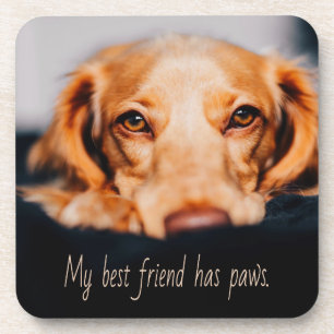 Mijn beste vriend heeft een poothond, Puppy Meme Bier Onderzetter