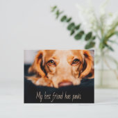 Mijn beste vriend heeft een poothond, Puppy Meme Briefkaart (Staand voorkant)