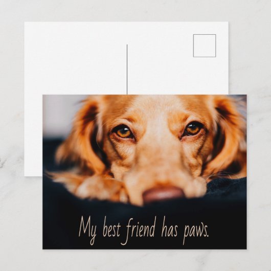 Mijn beste vriend heeft een poothond, Puppy Meme Briefkaart (Voorkant / Achterkant)