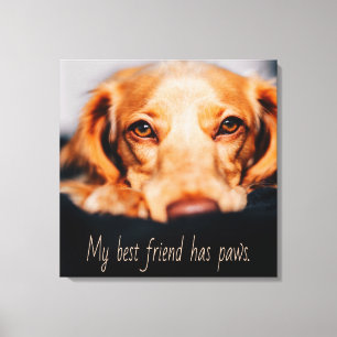 Mijn beste vriend heeft een poothond, Puppy Meme Canvas Afdruk