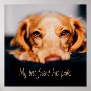Mijn beste vriend heeft een poothond, Puppy Meme Poster
