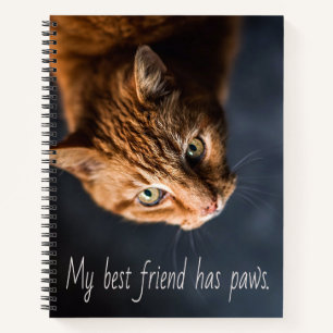 Mijn beste vriend heeft poten, Katje Schattig Notitieboek