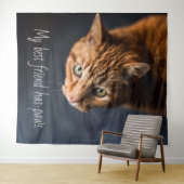 Mijn beste vriend heeft poten, Katje Schattig Wandkleed (In Situ (horizontaal))