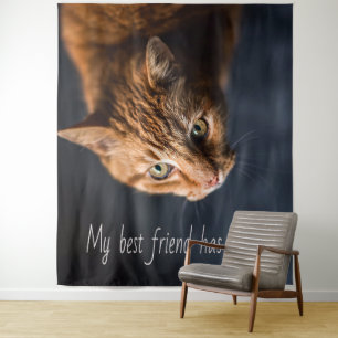 Mijn beste vriend heeft poten, Katje Schattig Wandkleed