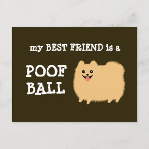 Mijn beste vriend is een Poof Ball - Funny Pom Car Briefkaart