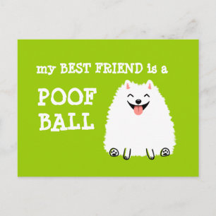 Mijn beste vriend is een Poof Ball - Funny Pommere Briefkaart