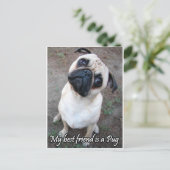Mijn beste vriend is een pug briefkaart (Staand voorkant)