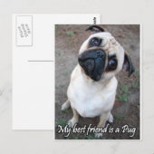 Mijn beste vriend is een pug briefkaart (Voorkant / Achterkant)