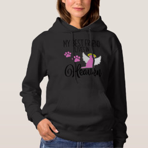 Mijn beste vriend woont in de hemel met het verlie hoodie