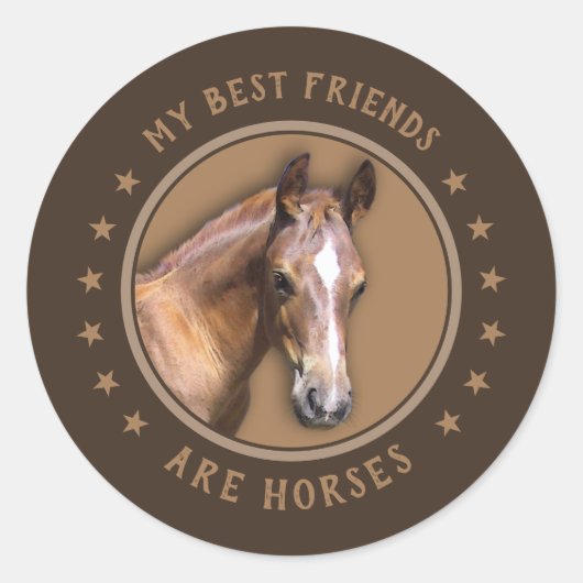 Mijn beste vrienden zijn paarden ronde sticker (Voorkant)