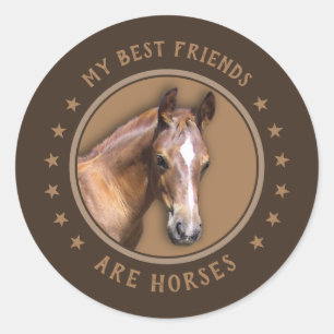 Mijn beste vrienden zijn paarden ronde sticker