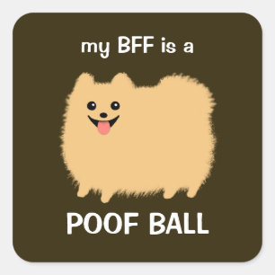 Mijn BFF is een Poof Ball - pluizige Pommerse Hond Vierkante Sticker