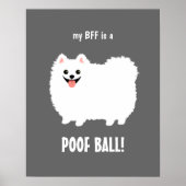 Mijn BFF is een POOF BALL Pommeren -  Poster (Voorkant)