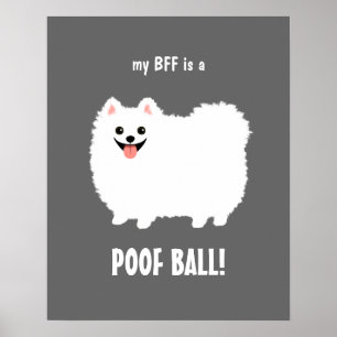 Mijn BFF is een POOF BALL Pommeren -  Poster