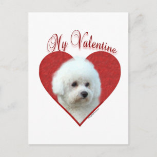 Mijn Bichon Frise Valentijn Feestdagenkaart