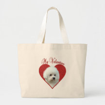Mijn Bichon Frise Valentijn