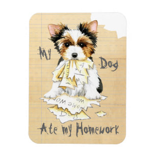Mijn Biewer Terrier Ate Mijn thuiswerk Magnet Magneet