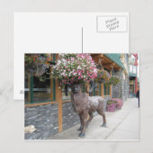 Mijn bloem Pet Briefkaart (Voorkant / Achterkant)