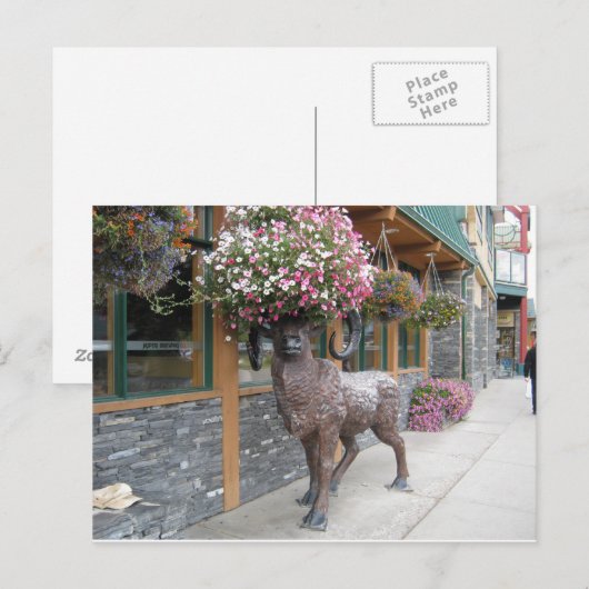 Mijn bloem Pet Briefkaart (Voorkant / Achterkant)