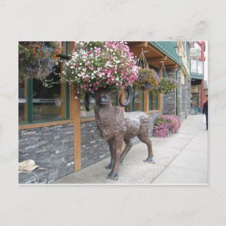 Mijn bloem Pet Briefkaart