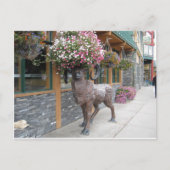 Mijn bloem Pet Briefkaart (Voorkant)