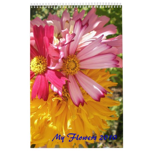 Mijn bloemen kalender (Hoes)