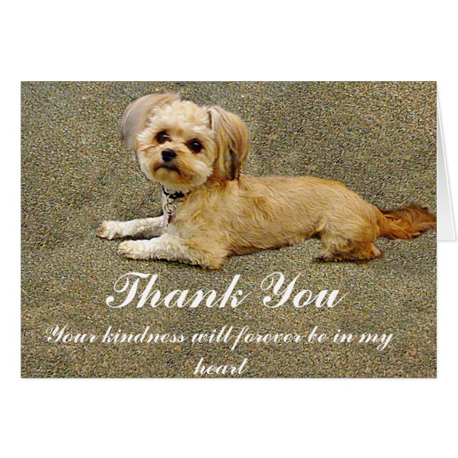 Mijn boeddy_ (Voorkant Horizontaal)