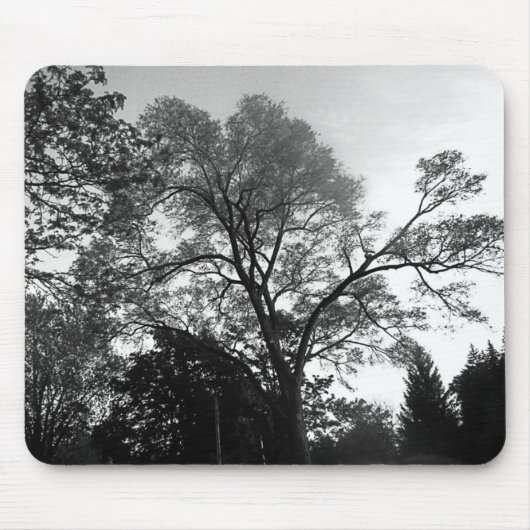 Mijn Boom Mousepad bekijken Muismat (Voorkant)