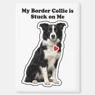 Mijn Border Collie zit aan me vast Hondenliefhebbe Magneet