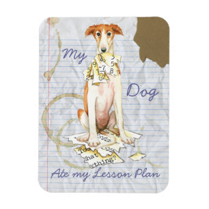 Mijn Borzoi Ate mijn Lesson Plan Magneet