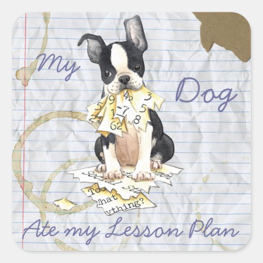 Mijn Boston Terrier Ate My Lesson Plan Vierkante Sticker (Voorkant)