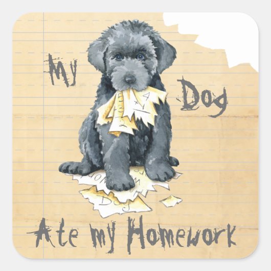 Mijn Bouvier Ate My Homework Square Sticker (Voorkant)