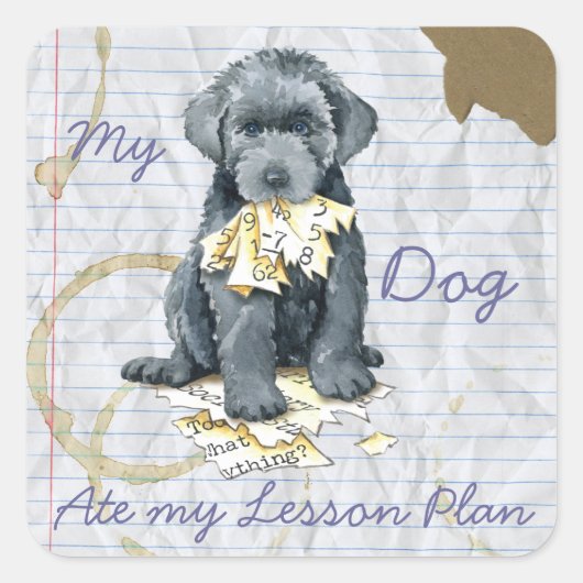 Mijn Bouvier Ate My Lesson Plan Square Sticker (Voorkant)