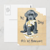 Mijn Bouvier des Flandres at mijn huiswerk Briefka Briefkaart (Voorkant / Achterkant)