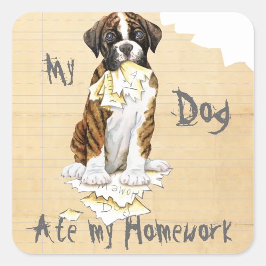 Mijn Boxer Ate Mijn thuiswerk Vierkante Sticker (Voorkant)
