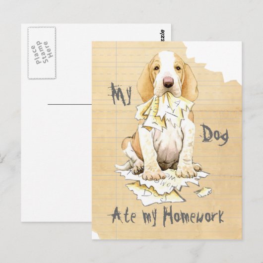 Mijn Bracco Italiano Ate mijn thuiswerk Briefkaart (Voorkant / Achterkant)