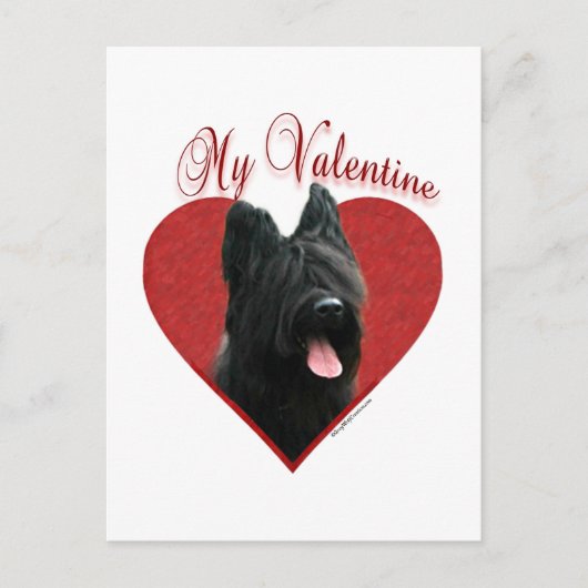 Mijn Briard Valentijn Feestdagenkaart (Voorkant)