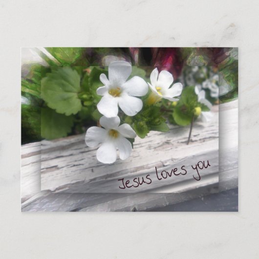 Mijn Briefkaart (Voorkant)