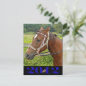 Mijn Briefkaart (Staand voorkant)