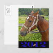 Mijn Briefkaart (Voorkant / Achterkant)