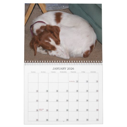 Mijn Brittannië 2011 Kalender (Jan 2026)