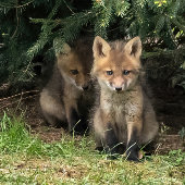 Mijn broer briefkaart