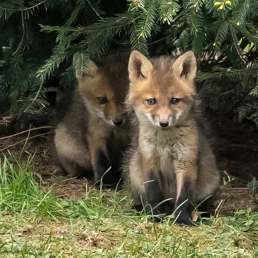 Mijn broer briefkaart