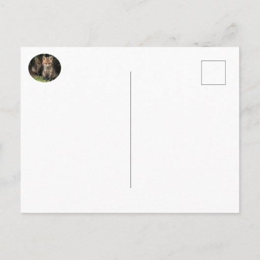 Mijn broer briefkaart (Achterkant)