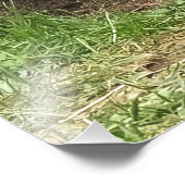 Mijn broer foto afdruk (Hoek)